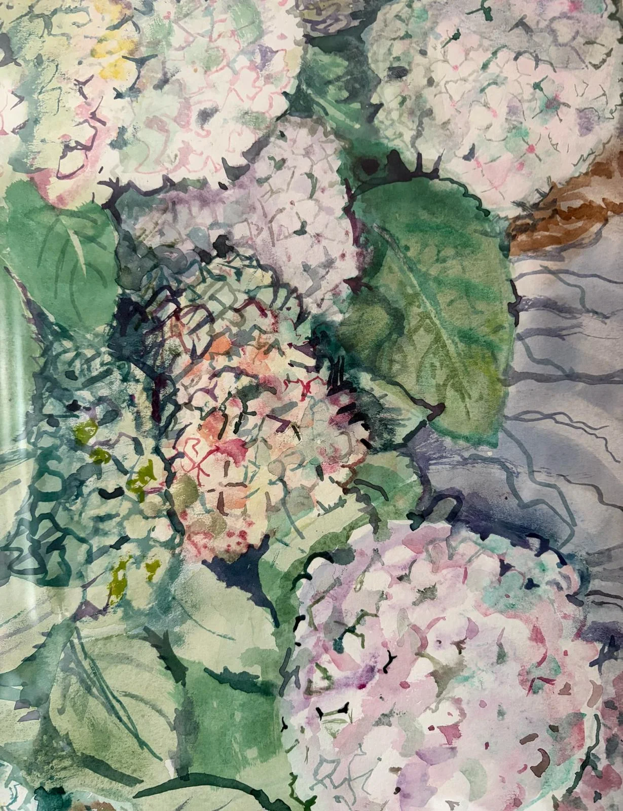 Clusters of pink hydrangea flowers among large green leaves.